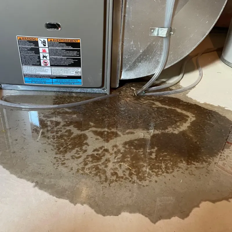 Appliance Leak Cleanup in Moultonborough, NH